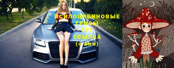 метадон Арсеньев