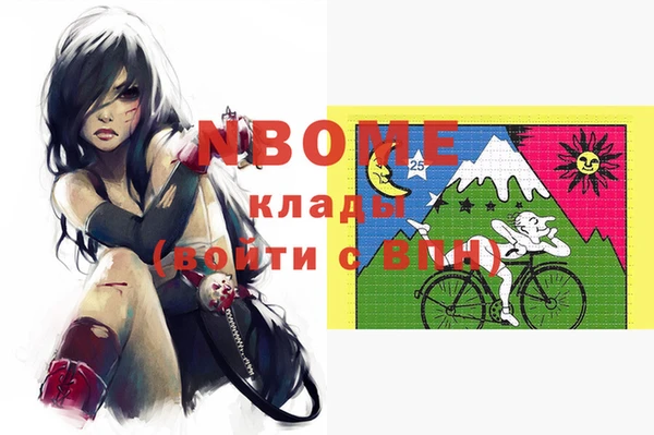 Альфа ПВП Няндома